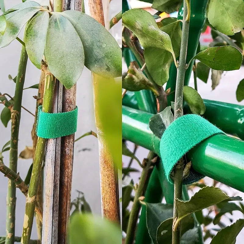 Rollos de Cinta para Amarrar Plantas