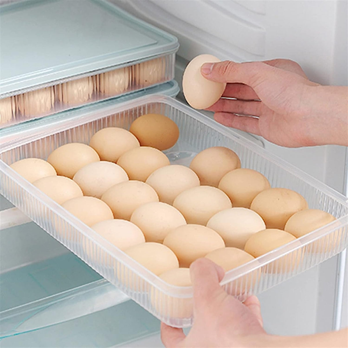 Recipientes de almacenamiento con tapa para huevos pequeños