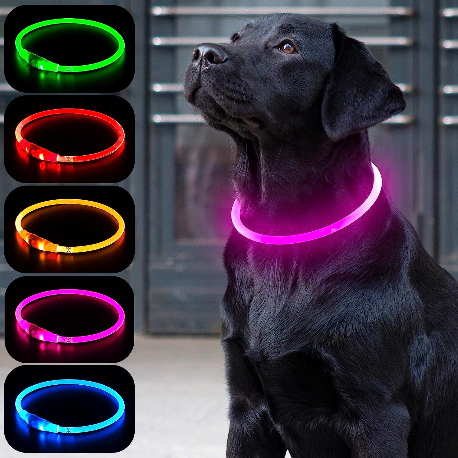  Correa LED para perros para paseos nocturnos seguros y
