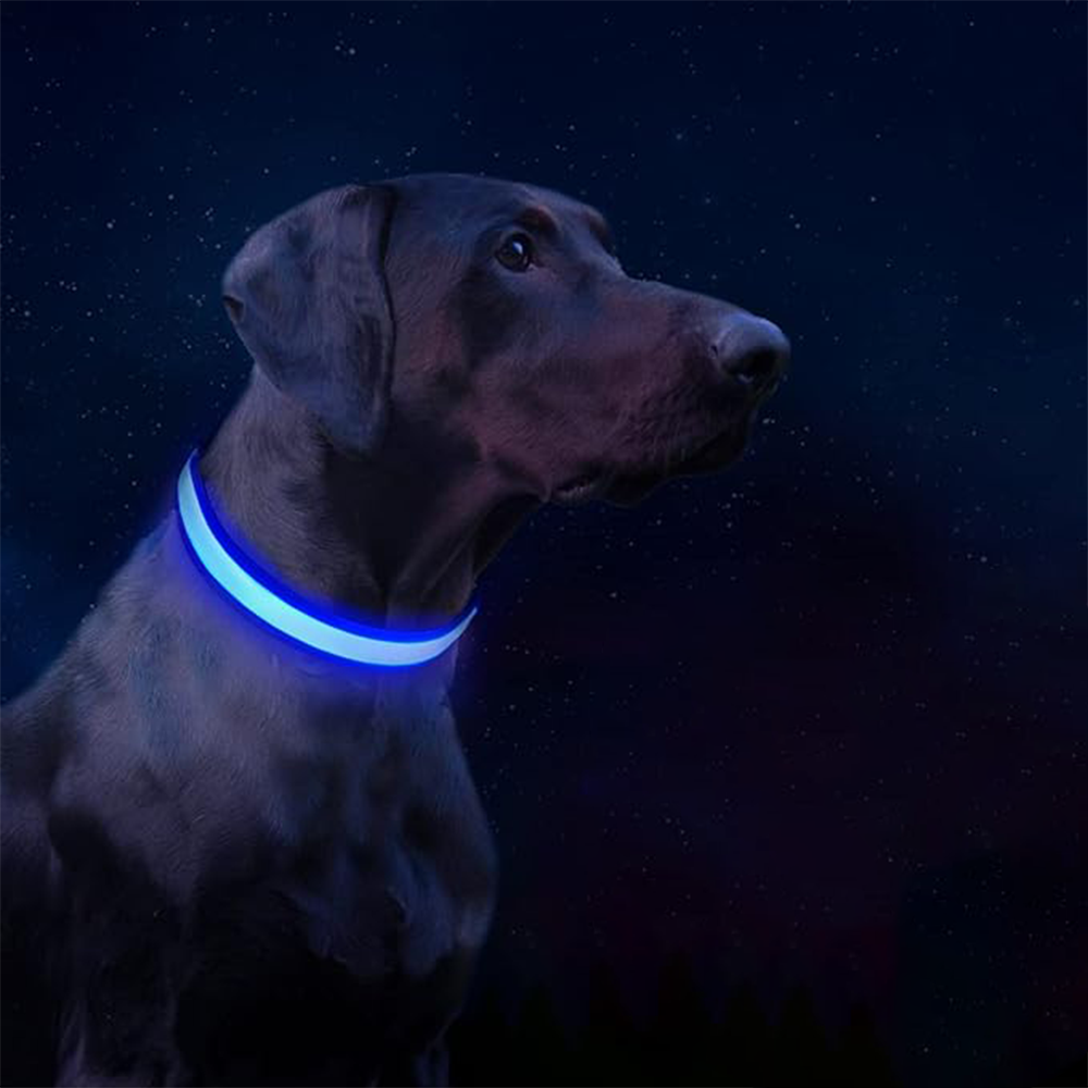 son seguros los collares de perro led