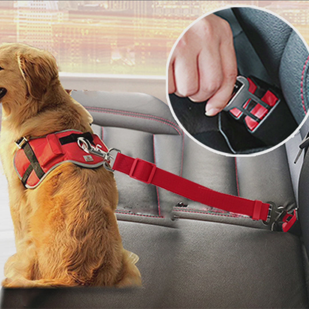 Cinturón de seguridad de mascotas para carros