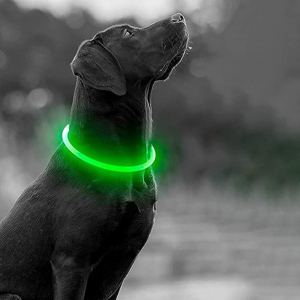 Collar Led ajustable de paseo nocturno para mascota