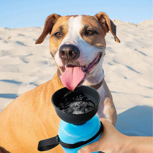 Cepillo ducha de agua a presión para mascotas – NQLN